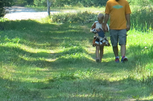 UNE MINE D'OR DANS MON GAZON