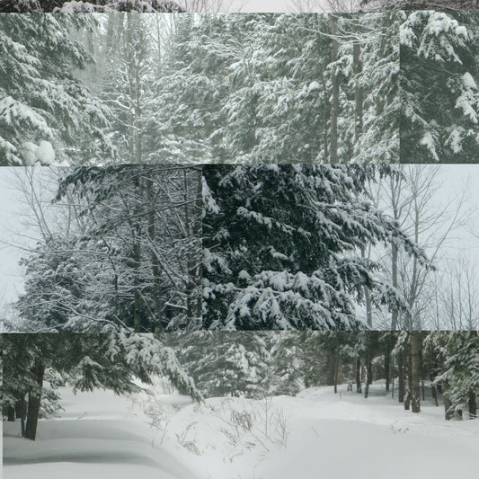 Semaine de relâche au Centre-du-Québec : Activités à petit prix pour toute la famille