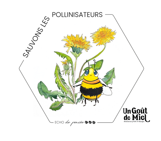 La pollinisation : Pilier de la biodiversité