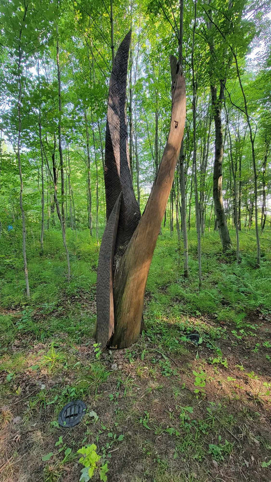 sculpture dans le boisée du mouvement essart