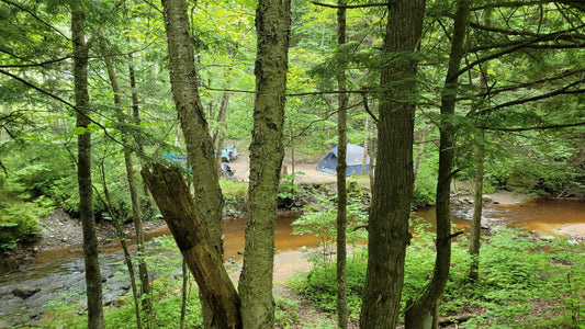 Escapade nature & découvertes : Une excursion au Parc de la Rivière Gentilly et ses trésors sur la route