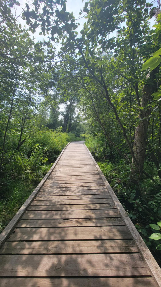 Slow tourisme au Centre-du-Québec : Jour 3 Parc régional des Grandes- Coulées