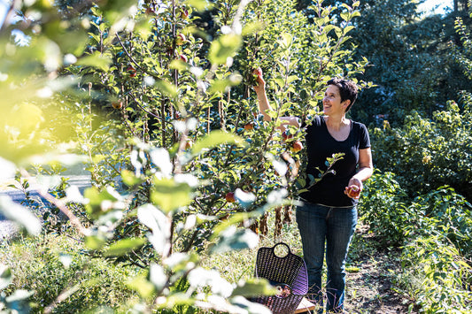 Cultiver votre potager et vos plantes médicinales avec succès : Guide pour débutants