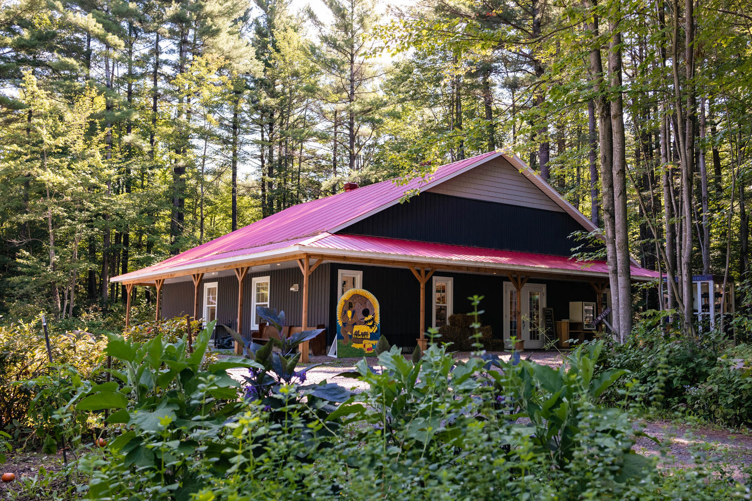  Image de la miellerie : maison d'antan dans les bois